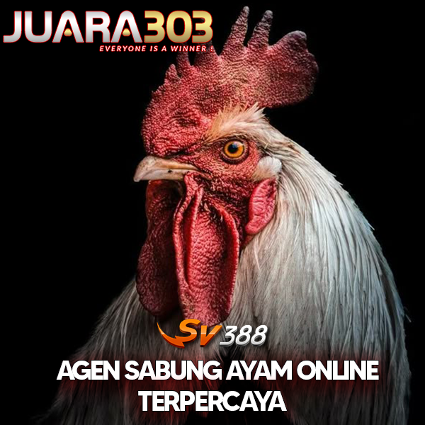 JUARA303 Login 