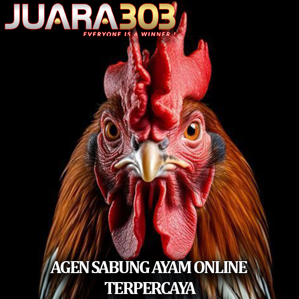 SV388 | Agen Resmi Situs Judi Sabung Ayam Online Adu Wala Meron